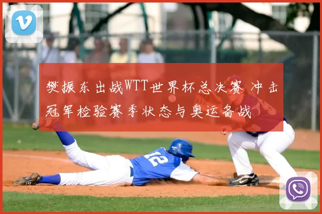 樊振东出战WTT世界杯总决赛 冲击冠军检验赛季状态与奥运备战